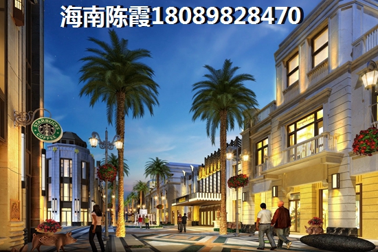 布鲁斯国际新城还有没有小户型出售？